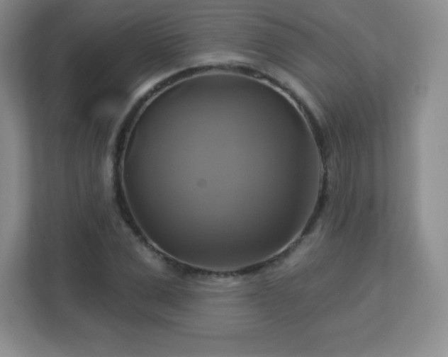 X0000113050975200909031328