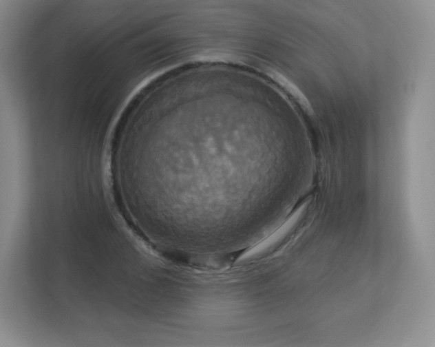 X0000113050976200909031328