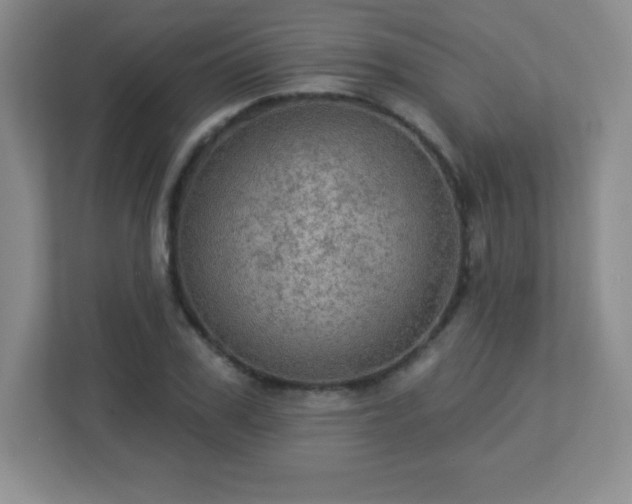 X0000113050979200909031328