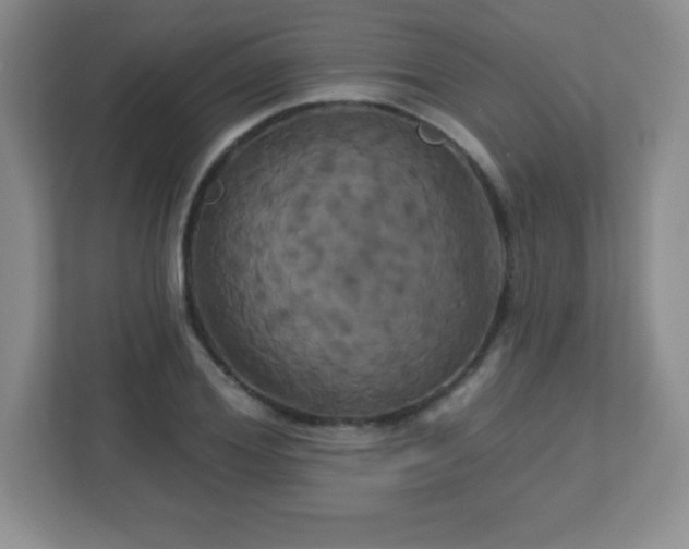 X0000113050980200909031328