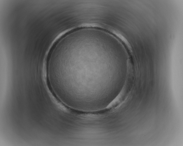 X0000113050984200909031328