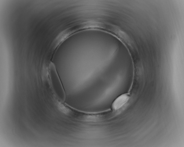 X0000113050985200909031328