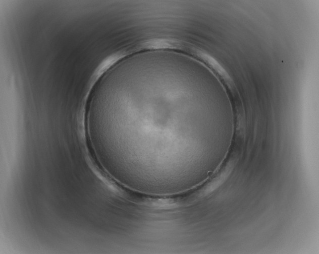 X0000113050986200909031328