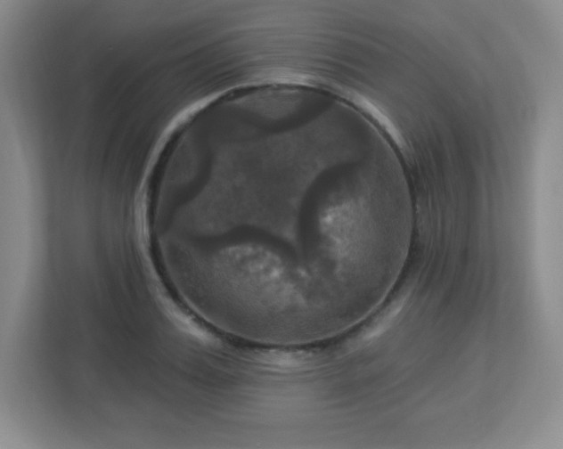 X0000113050987200909031328