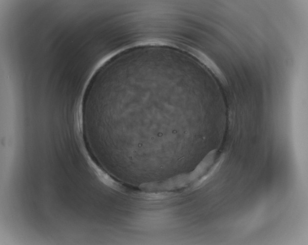 X0000113050988200909031328