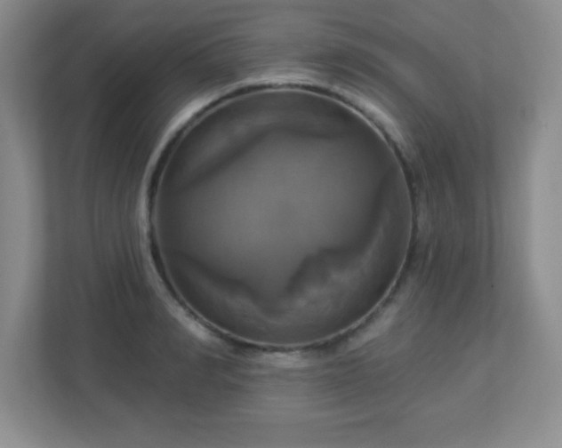 X0000113050990200909031328