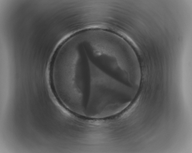 X0000113050991200909031328