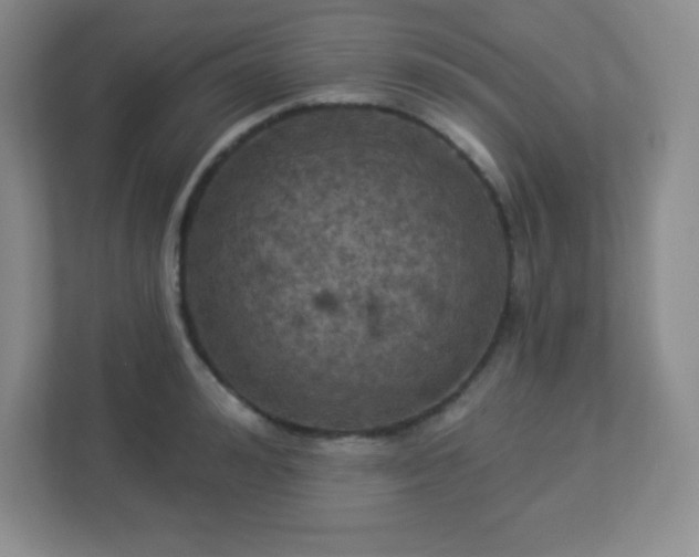 X0000113050992200909031328