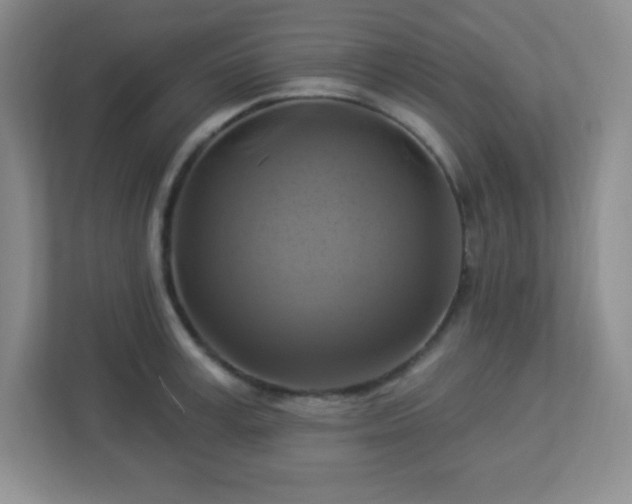 X0000113050995200909031328