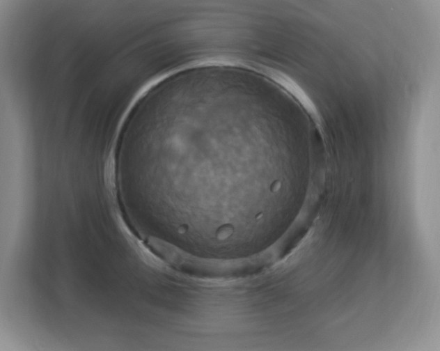 X0000113050996200909031328