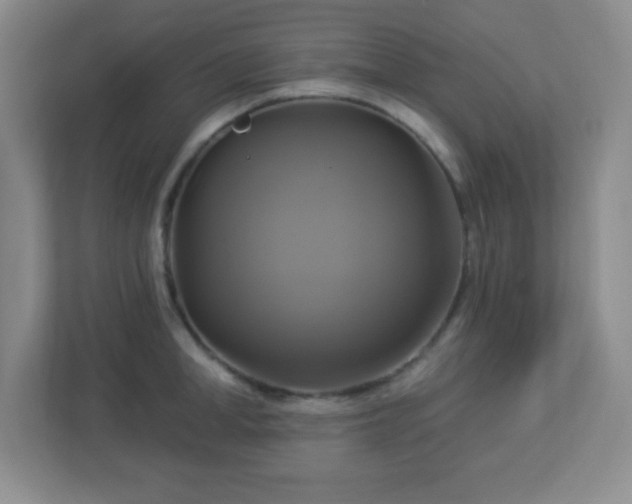 X0000113050998200909031328