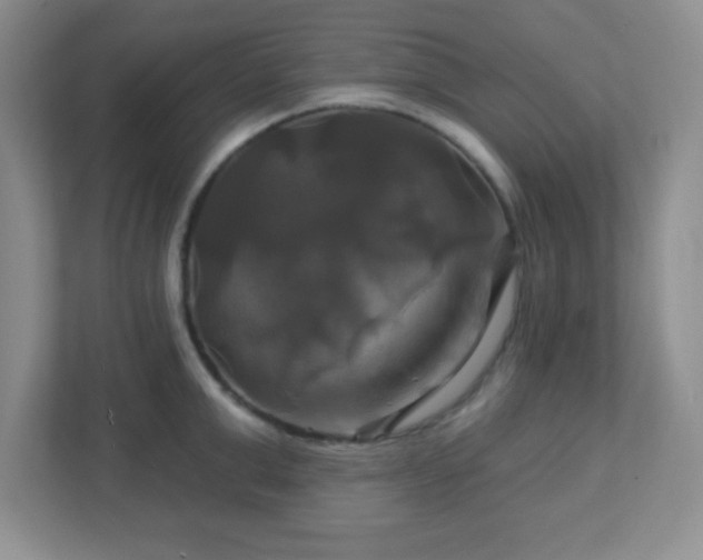 X0000113050999200909031328