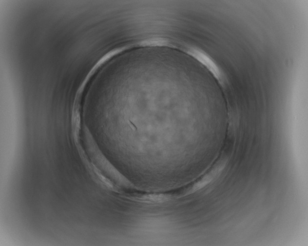 X0000113051000200909031328