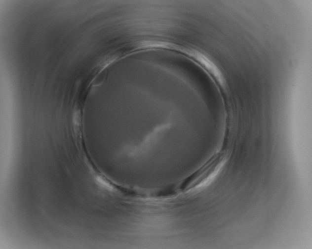 X0000113051001200909031328