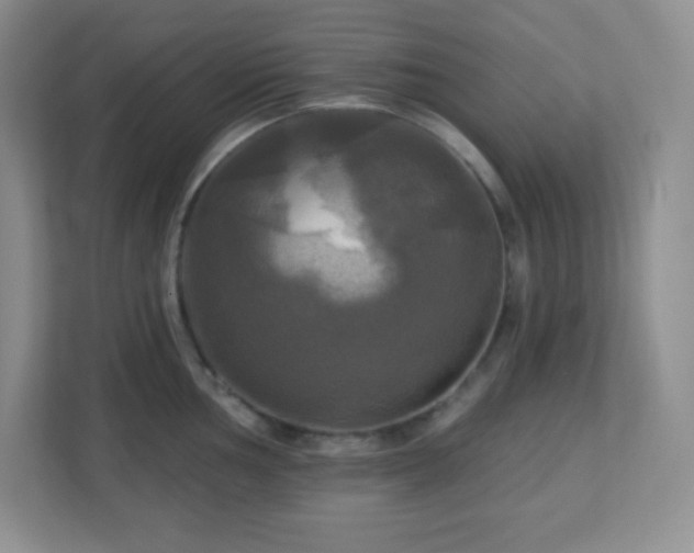 X0000113051002200909031328