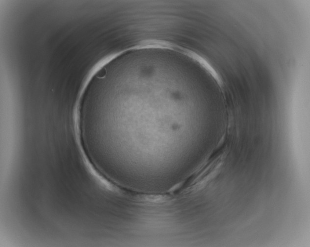 X0000113051003200909031328