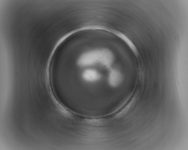 X0000113051004200909031328