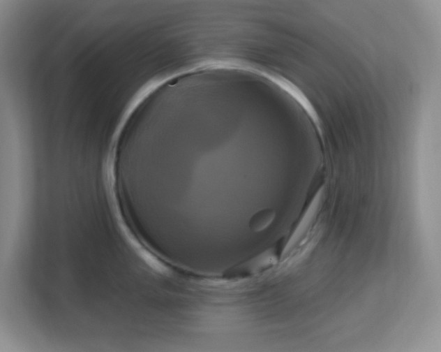 X0000113051005200909031328