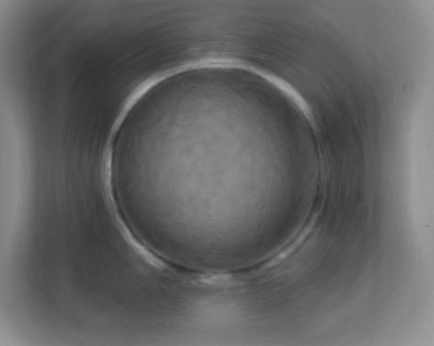 X0000113051006200909031328