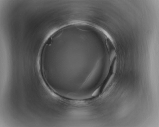 X0000113051007200909031328