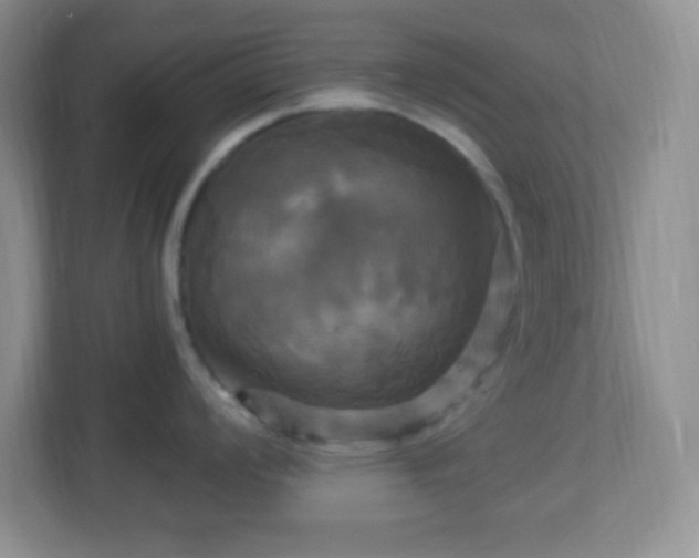 X0000113051008200909031328