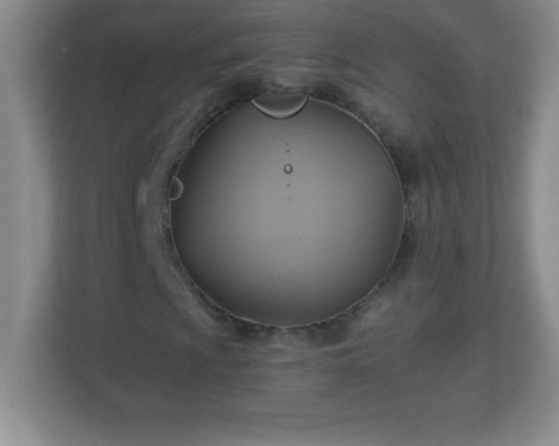 X0000113051009200909031327