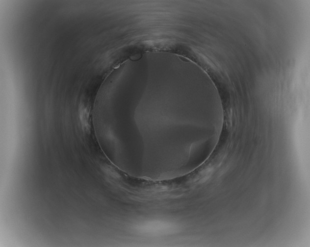 X0000113051010200909031327