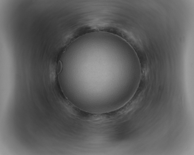 X0000113051012200909031327