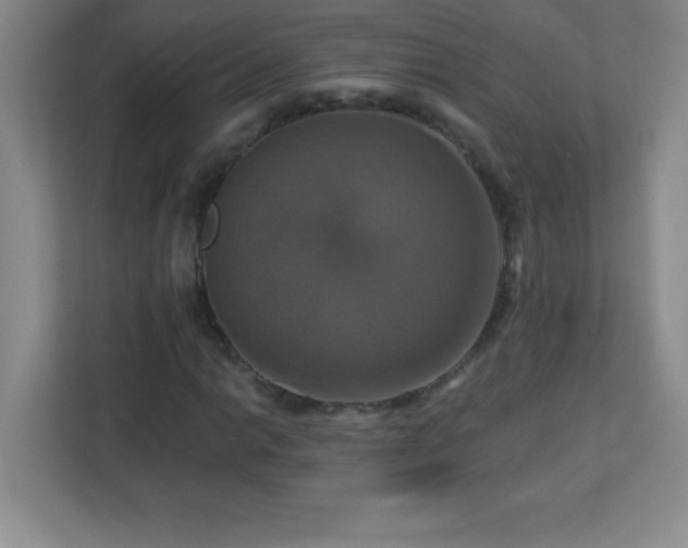 X0000113051014200909031327