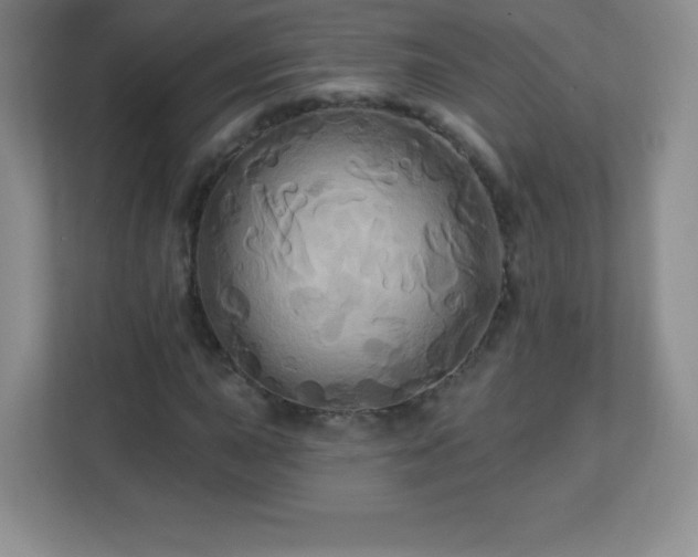 X0000113051015200909031327