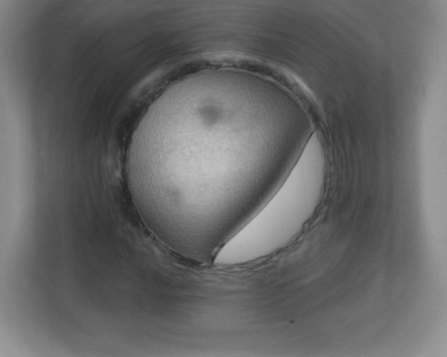 X0000113051016200909031327