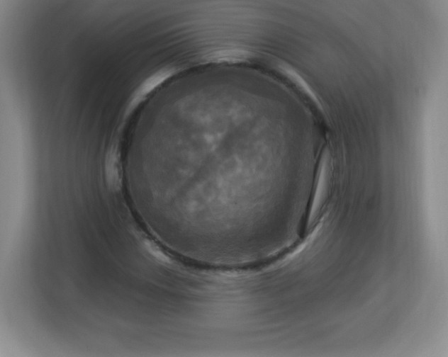 X0000113051018200909031327