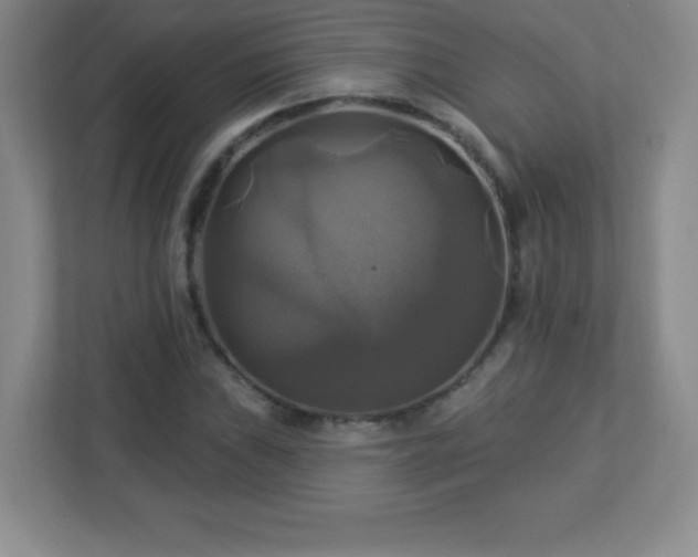 X0000113051019200909031327