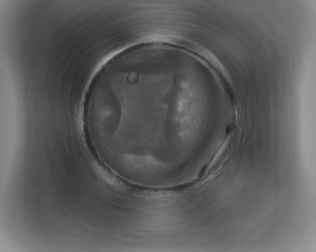 X0000113051020200909031327