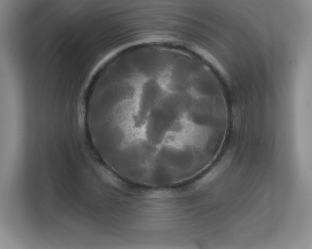 X0000113051021200909031327