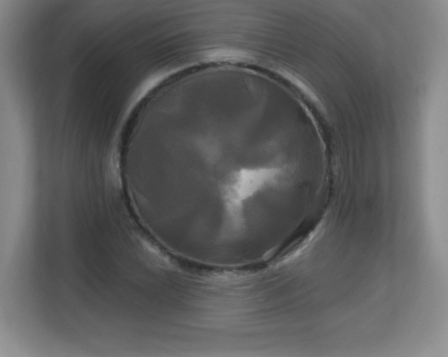 X0000113051022200909031327