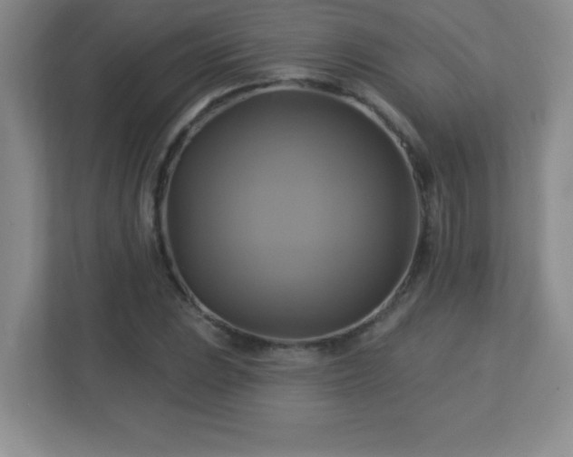 X0000113051023200909031327