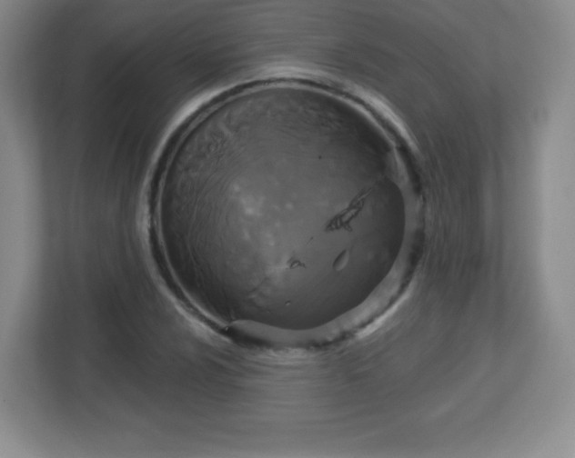 X0000113051024200909031327