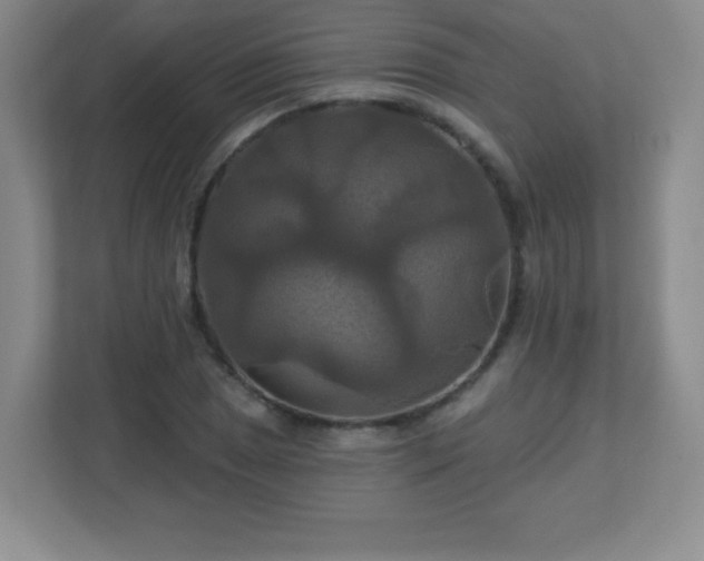 X0000113051025200909031327