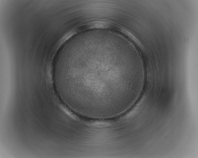 X0000113051026200909031328