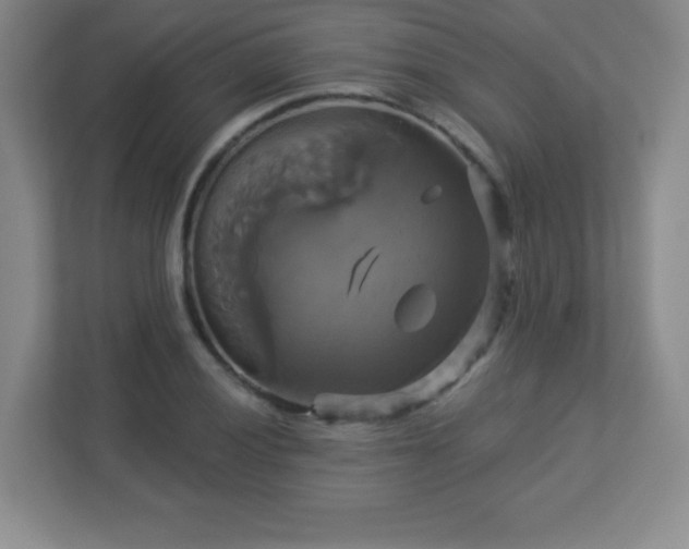 X0000113051028200909031328