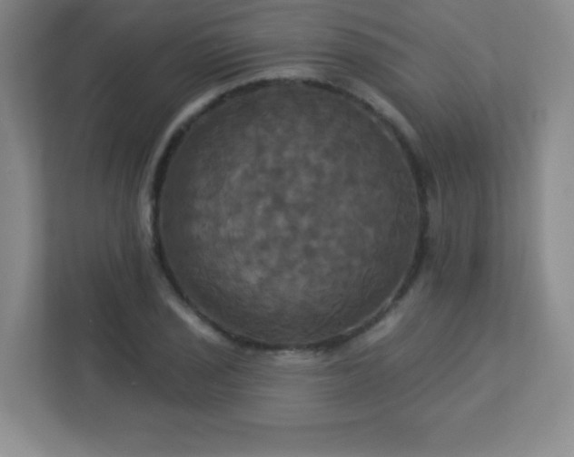 X0000113051029200909031328