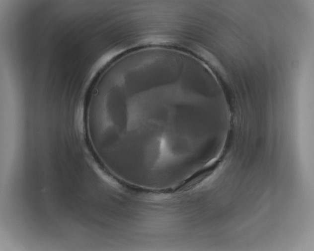 X0000113051030200909031328