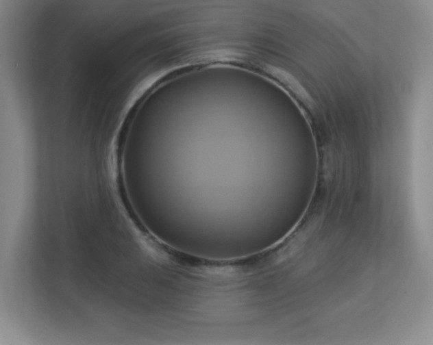 X0000113051031200909031328