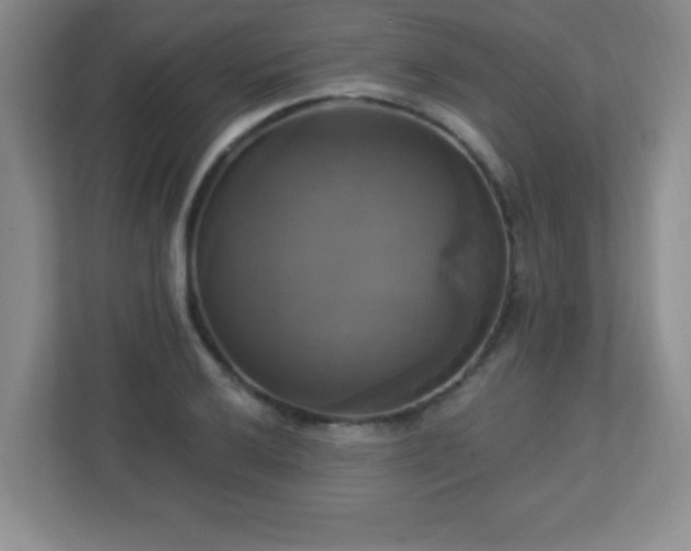 X0000113051032200909031328