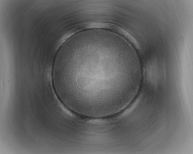 X0000113051033200909031328