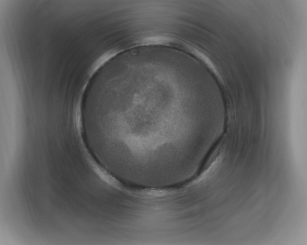 X0000113051034200909031328