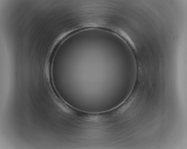 X0000113051035200909031328