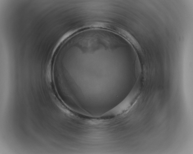 X0000113051036200909031328