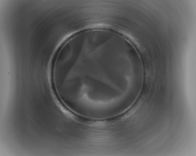 X0000113051038200909031328